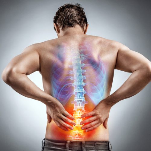 spine-1